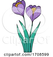 Poster, Art Print Of Spring Crocus Flowers