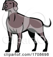 Poster, Art Print Of Weimaraner Dog Standing