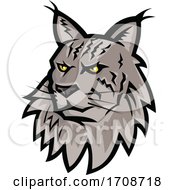 Poster, Art Print Of Maine Coon Cat Head Mascot