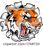 Poster, Art Print Of Tiger Mascot Head Breaking Through A Wall