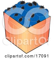 Carton Of Fresh And Plump Blueberries