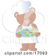 Cute Bear Wearing An Apron And A Chefs Hat Carrying A Tray Of Fresh Chocolate Chip Cookies