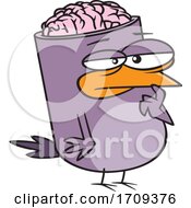 Poster, Art Print Of Cartoon Bird Brain