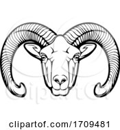 Poster, Art Print Of Black And White Mouflon Sheep
