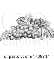 Poster, Art Print Of Bunch Of Grapes On Vine With Leaves