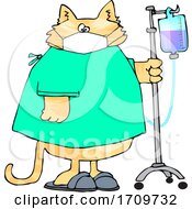 Cartoon Sick Cat Wearing A Hospital And Walking With Iv Fluids In A Hospital