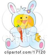 Yellow Chick Disguised As The Easter Bunny Holding A Carrot Clipart Illustration