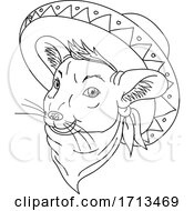Poster, Art Print Of Mexican Chinchilla