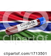 Poster, Art Print Of Flag Of Gambia Waving In The Wind With A Positive Covid 19 Blood Test Tube