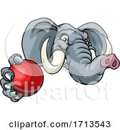 Poster, Art Print Of Elephant Cricket Ball Sports Animal Mascot