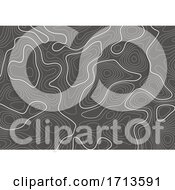 Poster, Art Print Of Topography Contour Map Design