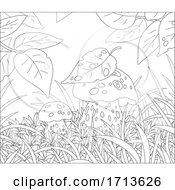 Poster, Art Print Of Leaves And Mushrooms