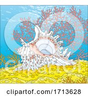 Poster, Art Print Of Conch Shell On The Ocean Floor