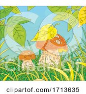 Poster, Art Print Of Leaves And Mushrooms