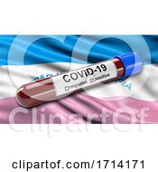 Poster, Art Print Of Brazilian State Flag Of Espirito Santo Waving In The Wind With A Positive Covid 19 Blood Test Tube