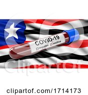 Poster, Art Print Of Brazilian State Flag Of Maranhao Waving In The Wind With A Positive Covid 19 Blood Test Tube