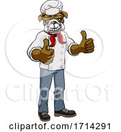 Poster, Art Print Of Bulldog Chef Mascot Thumbs Up Cartoon