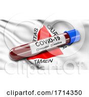 Poster, Art Print Of Brazilian State Flag Of Minas Gerais Waving In The Wind With A Positive Covid 19 Blood Test Tube