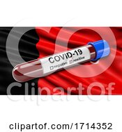 Poster, Art Print Of Brazilian State Flag Of Paraiba Waving In The Wind With A Positive Covid 19 Blood Test Tube