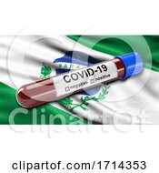 Poster, Art Print Of Brazilian State Flag Of Parana Waving In The Wind With A Positive Covid 19 Blood Test Tube