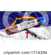 Poster, Art Print Of Brazilian State Flag Of Pernambuco Waving In The Wind With A Positive Covid 19 Blood Test Tube