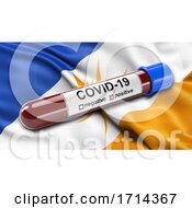 Poster, Art Print Of Brazilian State Flag Of Tocantins Waving In The Wind With A Positive Covid19 Blood Test Tube