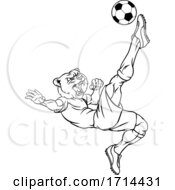 Poster, Art Print Of Bear Soccer Football Player Animal Sports Mascot
