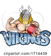 Viking Cricket Sports Mascot