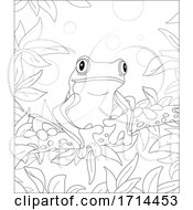 Poster, Art Print Of Tree Frog
