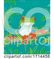 Poster, Art Print Of Tree Frog