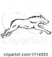Poster, Art Print Of Scottish Deerhound Running Black And White