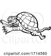 Poster, Art Print Of Turtle Tiger Leaping Side Black And White