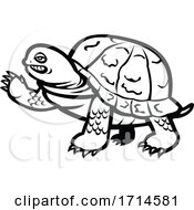 Poster, Art Print Of Eastern Box Turtle Waving Black And White