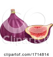 Poster, Art Print Of Fig