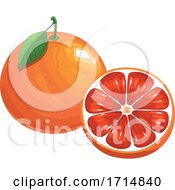 Poster, Art Print Of Grapefruit