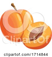 Poster, Art Print Of Apricot