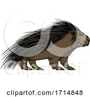 Poster, Art Print Of Angry Red Eyed Porcupine