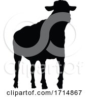 Poster, Art Print Of Sheep Or Lamb Farm Animal In Silhouette