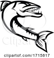 Poster, Art Print Of Great Barracuda Jumping Retro Mascot Black And White