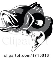 Poster, Art Print Of Barramundi Or Largemouth Bass Fish Jumping Black And White Retro