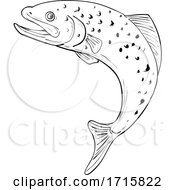 Black And White Trout Fish
