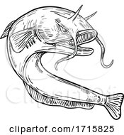 Giant Devil Catfish Or Goonch