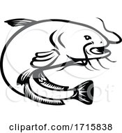 Poster, Art Print Of Wels Catfish Jumping Side Retro Black And White