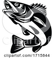 Poster, Art Print Of Walleye Fish