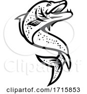 Poster, Art Print Of Jumping Pike Fish