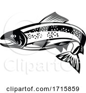 Poster, Art Print Of Black And White Trout Or Speckled Trout Fish