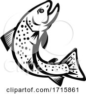 Poster, Art Print Of Black And White Jumping Brook Trout Fish
