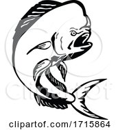 Angry Mahi Mahi Dorado Dolphinfish Jumping Etching Black And White