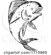 Poster, Art Print Of Dolphinfish
