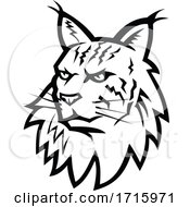 Poster, Art Print Of Head Of Maine Coon Cat Mascot Black And White